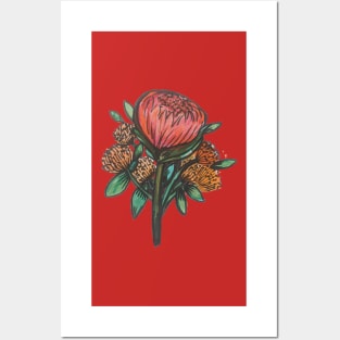 Pincushion Protea Posters and Art